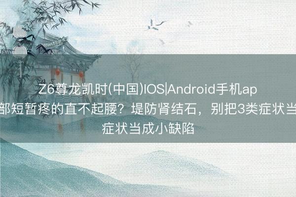 Z6尊龙凯时(中国)IOS|Android手机app下载 腹部短暂疼的直不起腰？堤防肾结石，别把3类症状当成小缺陷