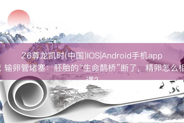 Z6尊龙凯时(中国)IOS|Android手机app下载 输卵管堵塞：胚胎的“生命鹊桥”断了，精卵怎么相遇？
