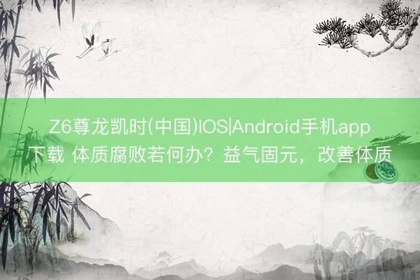 Z6尊龙凯时(中国)IOS|Android手机app下载 体质腐败若何办？益气固元，改善体质