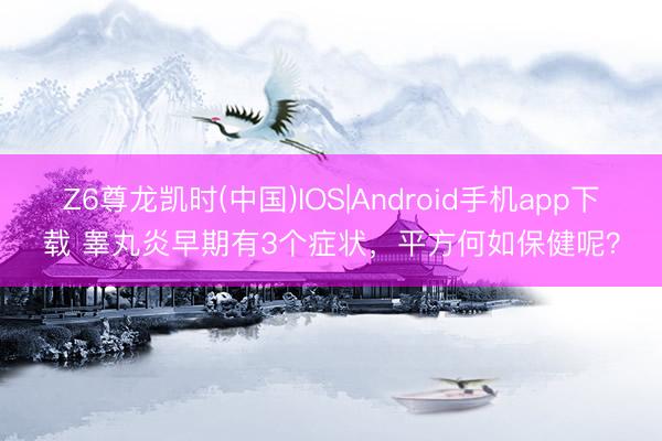 Z6尊龙凯时(中国)IOS|Android手机app下载 睾丸炎早期有3个症状，平方何如保健呢？