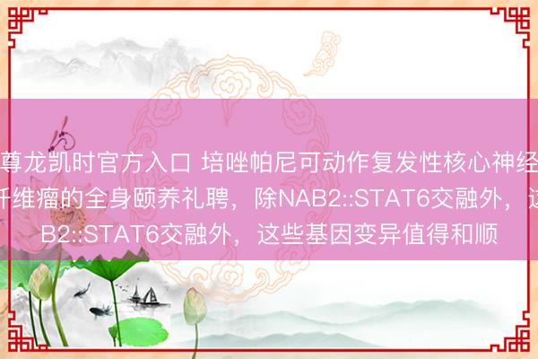 尊龙凯时官方入口 培唑帕尼可动作复发性核心神经系统孤苦孤身一人道纤维瘤的全身颐养礼聘,除NAB2::STAT6交融外,这些基因变异值得和顺