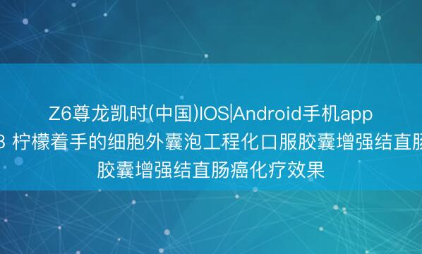 Z6尊龙凯时(中国)IOS|Android手机app下载 IF=26.8 柠檬着手的细胞外囊泡工程化口服胶囊增强结直肠癌化疗效果