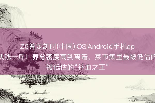 Z6尊龙凯时(中国)IOS|Android手机app下载 才五块钱一斤！养分密度高到离谱，菜市集里最被低估的“补血之王”