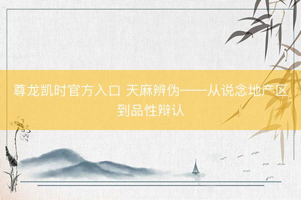 尊龙凯时官方入口 天麻辨伪——从说念地产区到品性辩认