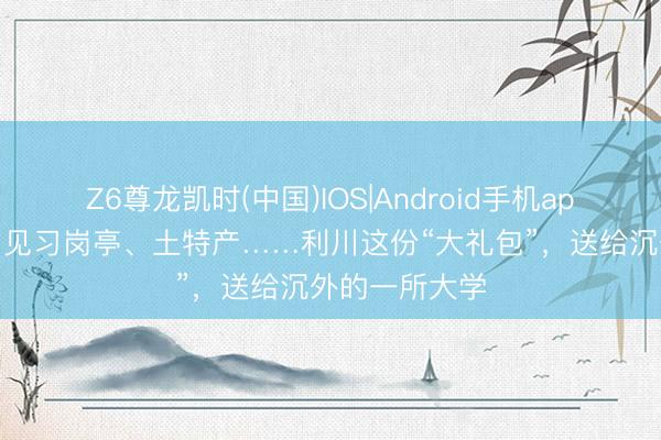 Z6尊龙凯时(中国)IOS|Android手机app下载 免票、见习岗亭、土特产……利川这份“大礼包”，送给沉外的一所大学