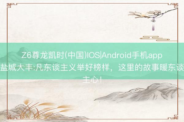 Z6尊龙凯时(中国)IOS|Android手机app下载 盐城大丰:凡东谈主义举好榜样，这里的故事暖东谈主心！