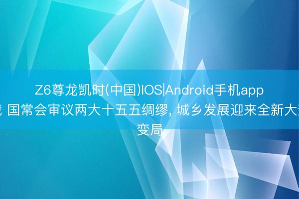 Z6尊龙凯时(中国)IOS|Android手机app下载 国常会审议两大十五五绸缪， 城乡发展迎来全新大变局