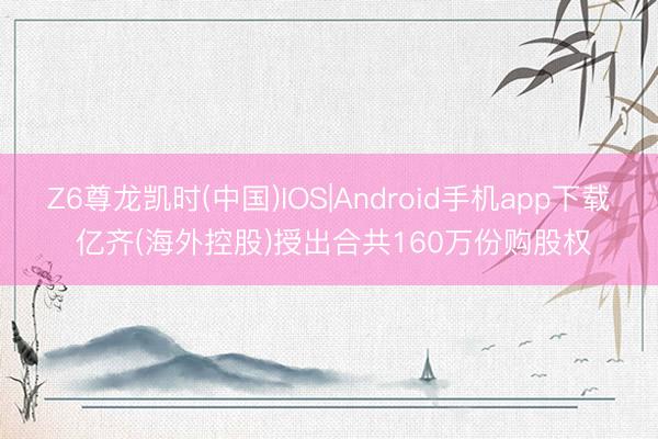 Z6尊龙凯时(中国)IOS|Android手机app下载 亿齐(海外控股)授出合共160万份购股权