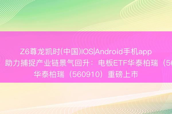 Z6尊龙凯时(中国)IOS|Android手机app下载 高电板纯度、助力捕捉产业链景气回升:电板ETF华泰柏瑞(560910)重磅上市