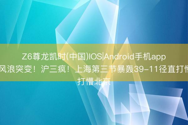 Z6尊龙凯时(中国)IOS|Android手机app下载 风浪突变！沪三疯！上海第三节暴轰39-11径直打懵北京