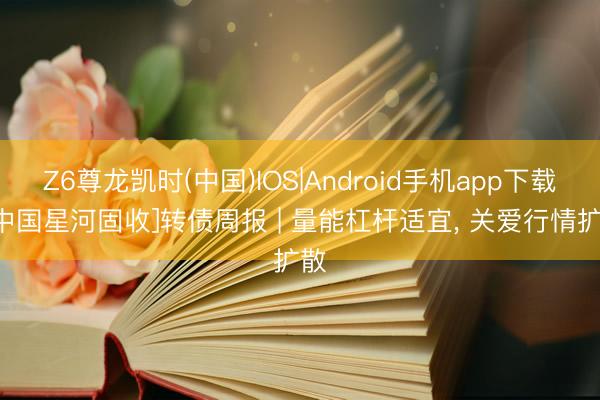 Z6尊龙凯时(中国)IOS|Android手机app下载 [中国星河固收]转债周报 | 量能杠杆适宜， 关爱行情扩散