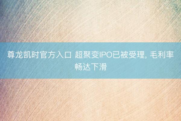 尊龙凯时官方入口 超聚变IPO已被受理， 毛利率畅达下滑
