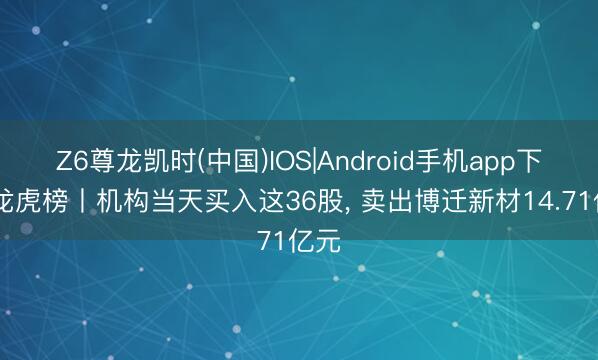Z6尊龙凯时(中国)IOS|Android手机app下载 龙虎榜丨机构当天买入这36股， 卖出博迁新材14.71亿元