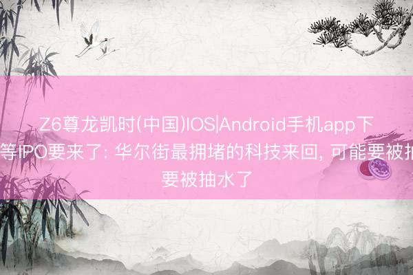 Z6尊龙凯时(中国)IOS|Android手机app下载 超等IPO要来了: 华尔街最拥堵的科技来回， 可能要被抽水了