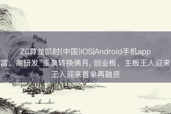 Z6尊龙凯时(中国)IOS|Android手机app下载 “轻财富、高研发”圭臬转换俩月， 创业板、主板王人迎来首单再融资