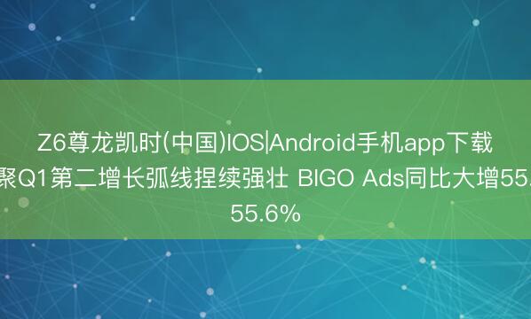 Z6尊龙凯时(中国)IOS|Android手机app下载 欢聚Q1第二增长弧线捏续强壮 BIGO Ads同比大增55.6%