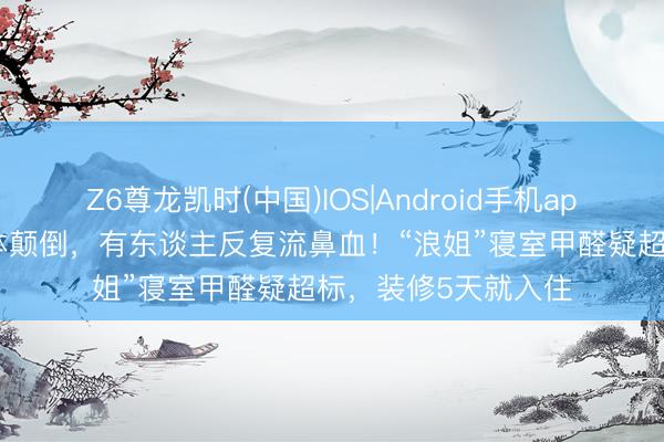 Z6尊龙凯时(中国)IOS|Android手机app下载 多名女星身体颠倒，有东谈主反复流鼻血！“浪姐”寝室甲醛疑超标，装修5天就入住