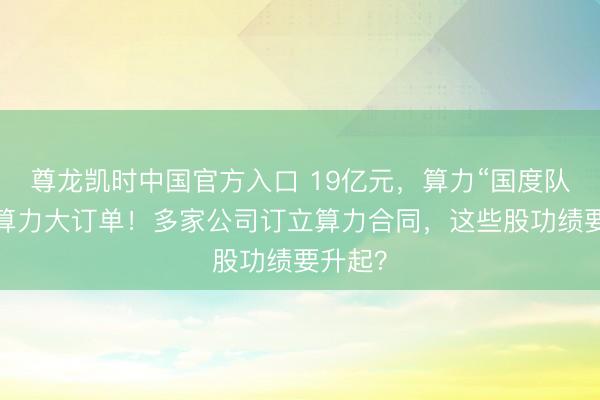 尊龙凯时中国官方入口 19亿元，算力“国度队”斩获算力大订单！多
