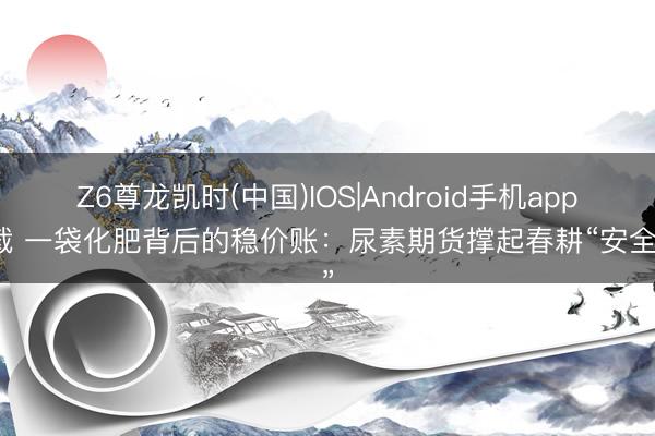 Z6尊龙凯时(中国)IOS|Android手机app下载 一袋化