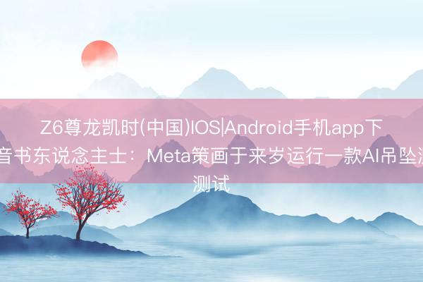 Z6尊龙凯时(中国)IOS|Android手机app下载 音书东