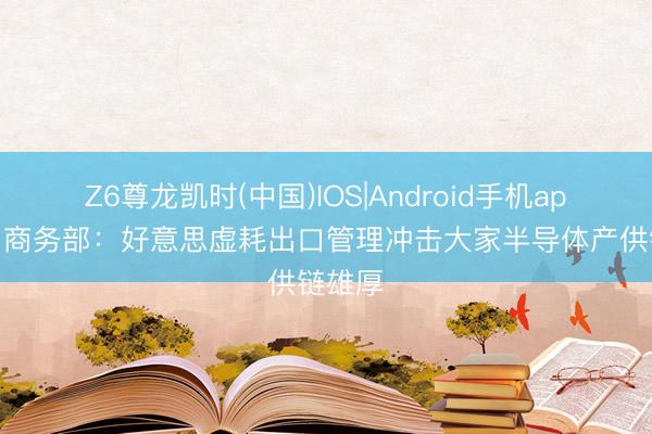 Z6尊龙凯时(中国)IOS|Android手机app下载 商务部：好意思虚耗出口管理冲击大家半导体产供链雄厚