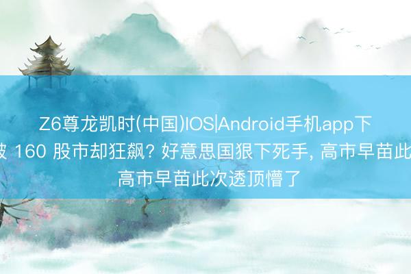 Z6尊龙凯时(中国)IOS|Android手机app下载 日元跌破 160 股市却狂飙? 好意思国狠下死手， 高市早苗此次透顶懵了