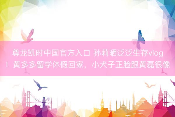 尊龙凯时中国官方入口 孙莉晒泛泛生存vlog!黄多多留学休假回家,小犬子正脸跟黄磊很像