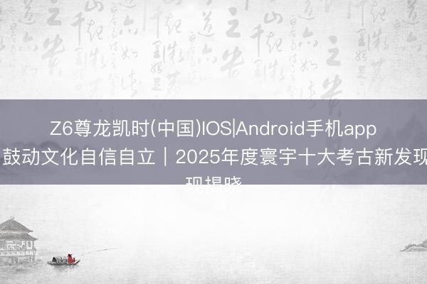 Z6尊龙凯时(中国)IOS|Android手机app下载 鼓动文化自信自立｜2025年度寰宇十大考古新发现揭晓