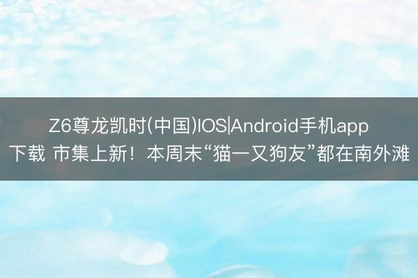 Z6尊龙凯时(中国)IOS|Android手机app下载 市集上新！本周末“猫一又狗友”都在南外滩