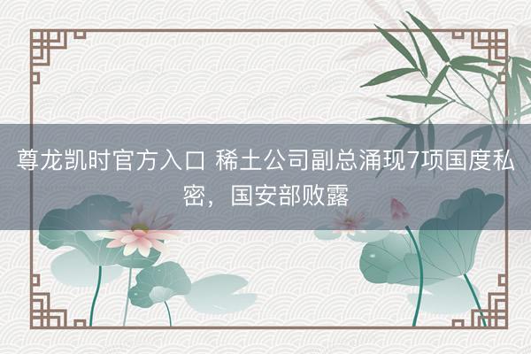 尊龙凯时官方入口 稀土公司副总涌现7项国度私密，国安部败露