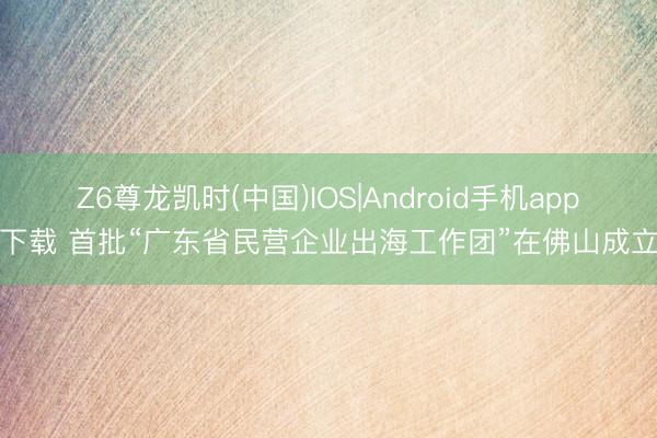 Z6尊龙凯时(中国)IOS|Android手机app下载 首批“广东省民营企业出海工作团”在佛山成立
