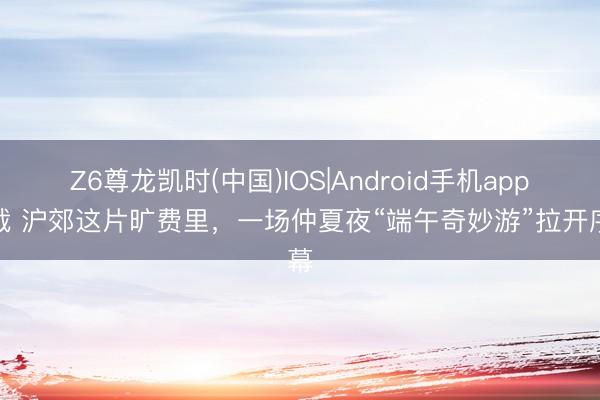 Z6尊龙凯时(中国)IOS|Android手机app下载 沪郊这片旷费里,一场仲夏夜“端午奇妙游”拉开序幕