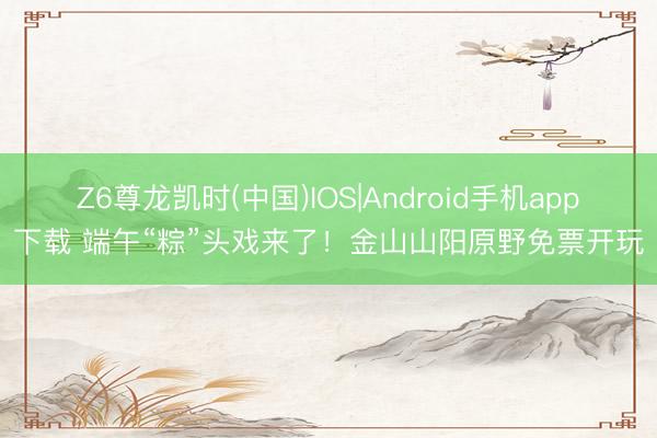 Z6尊龙凯时(中国)IOS|Android手机app下载 端午“粽”头戏来了!金山山阳原野免票开玩