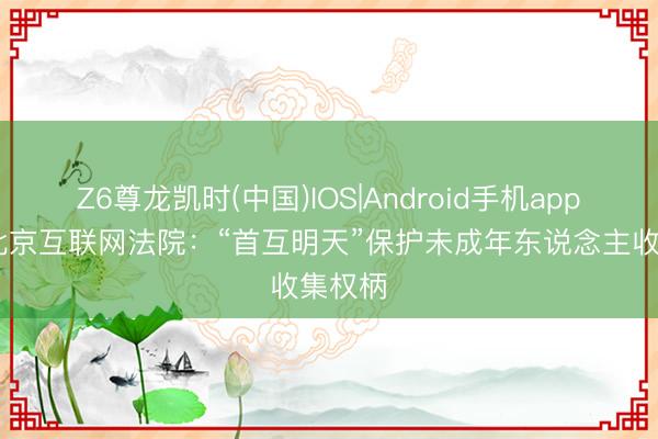 Z6尊龙凯时(中国)IOS|Android手机app下载 北京互联网法院：“首互明天”保护未成年东说念主收集权柄
